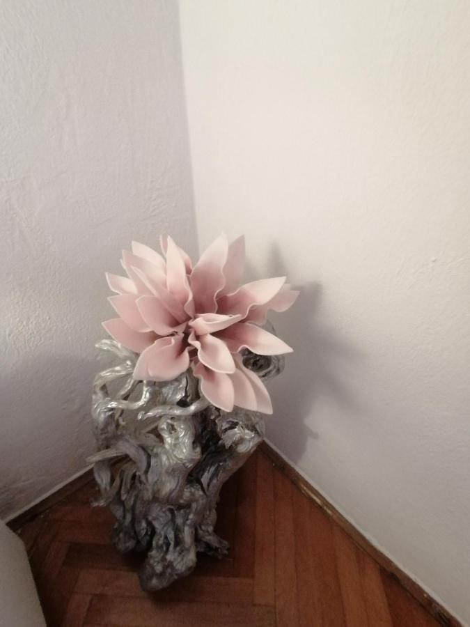 Apartmani Niki Hvar Apartament *