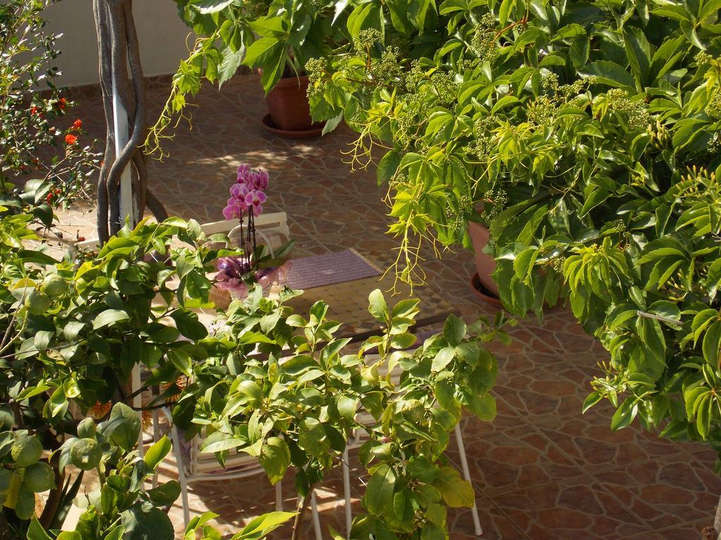 Apartmani Niki Hvar Hvar Town